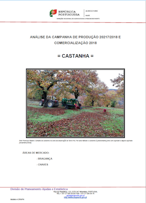 CASTANHA - ANÁLISE DA CAMPANHA DE PRODUÇÃO 20217/2018